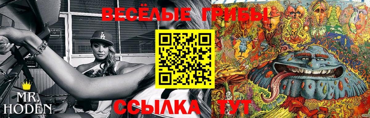 Георгиевск  Псилоцибиновые грибы Magic Shrooms  Вход с VPN 